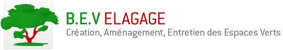B.E.V elagage Cration, Amnagement, Entretien des Espaces Verts